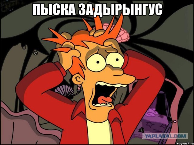 56 кг восторга