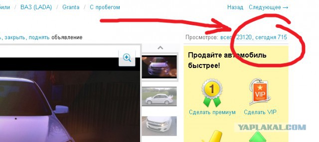 У меня грустные новости для соЯПовца. Слава Новиков тут есть?