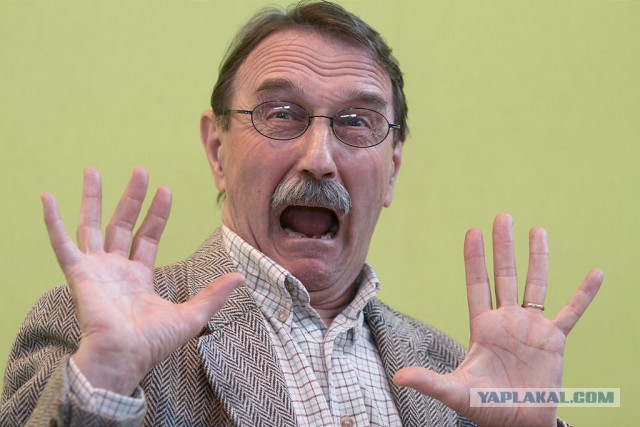 Гигантскую крысу нашли на детской площадке в Лондоне