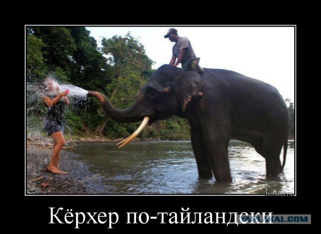 Забавные картинки из сети