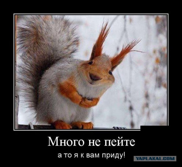 Картинки на пятницу