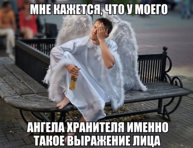 Порция картинок из сети