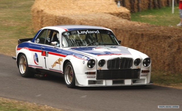 Бойцовский клуб Jaguar открыл сезон