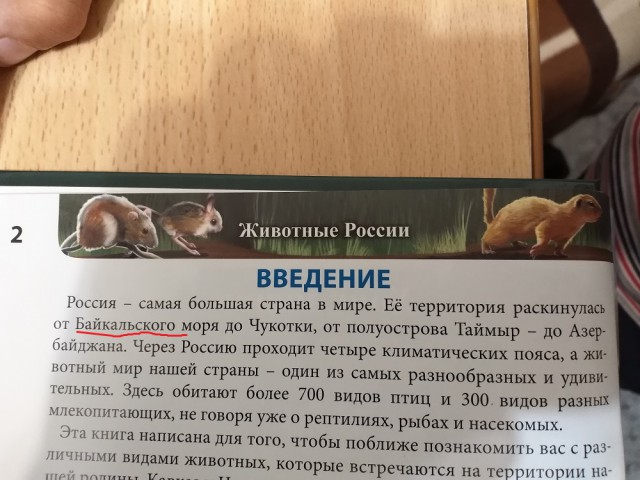 Учебники, по которым сейчас учат наших детей. Четырехлетний кошмар под названием «Окружающий мир».