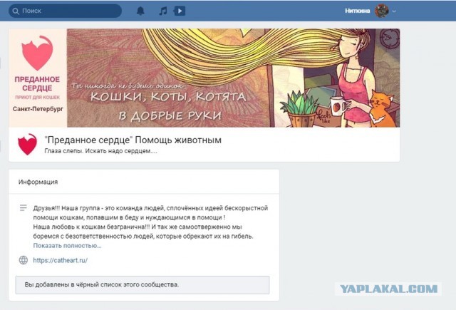 Помогите вернуть кота! Приют "Преданное сердце" украл кота и не отдает!