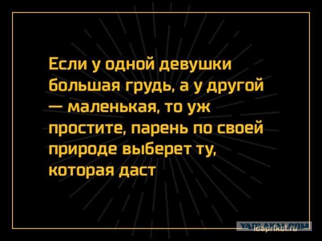Юмор в картинках