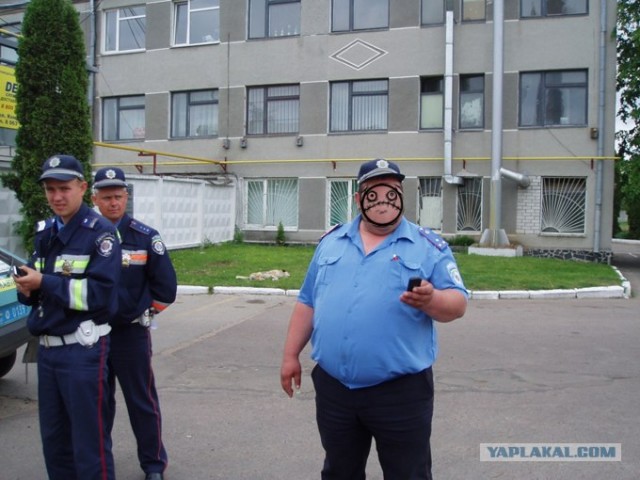 Фотожаба:На связи