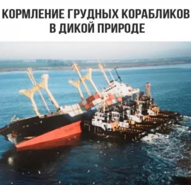 Бредзона 28.10.2020