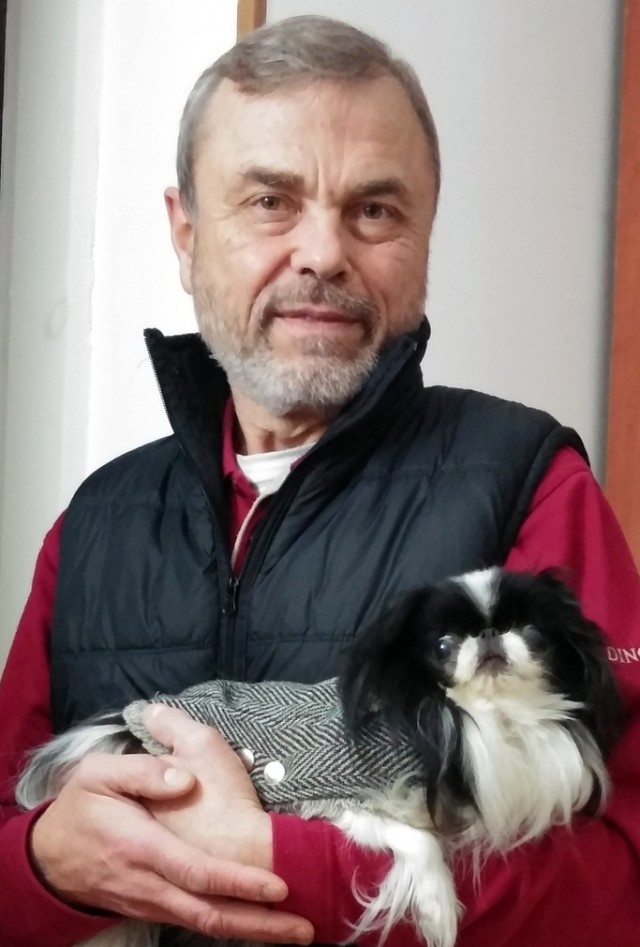 Бельгийский гриффон