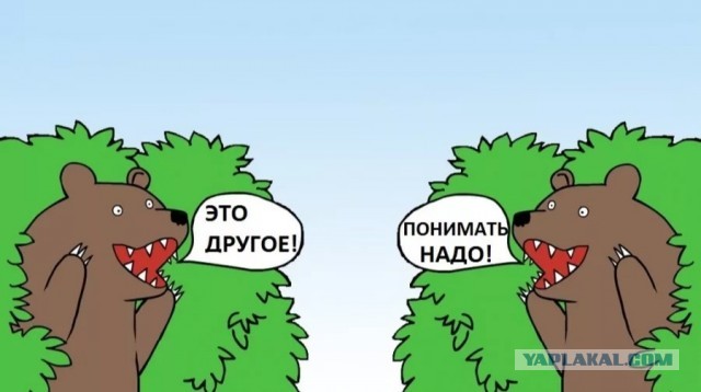"Я пытался взять правее, но столкновения избежать не удалось". Тверь