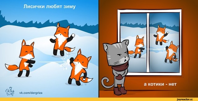 Лисички, картинки