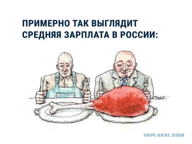Самарастат: средняя зарплата в Самарской области достигла 48 983 рублей