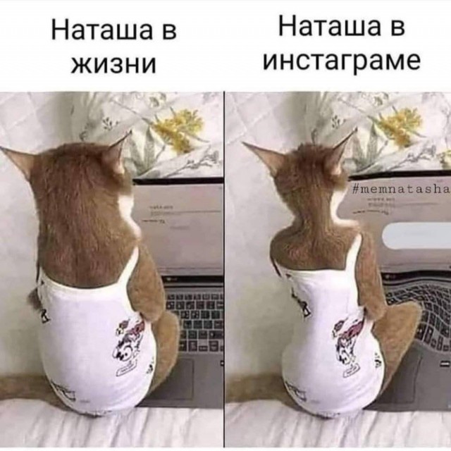 Картинки разные 27.04.2021