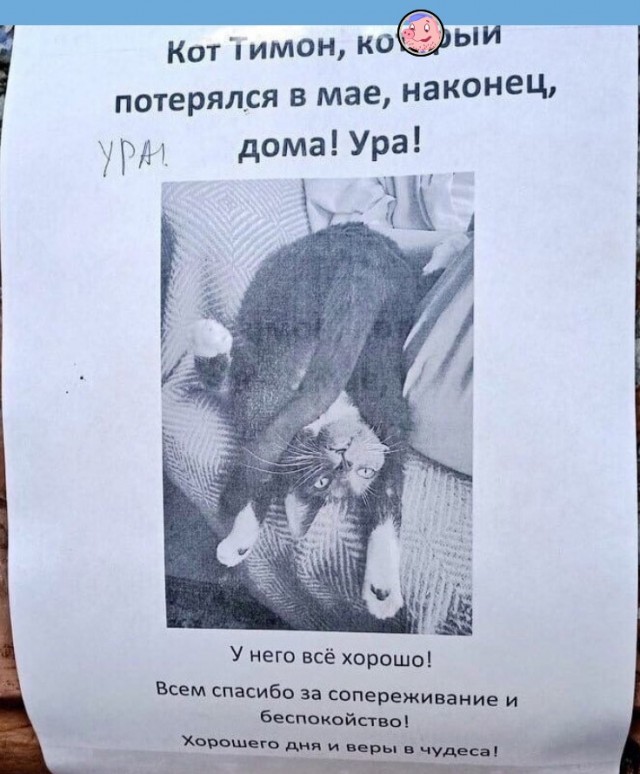 Картинки и мемы для настроения 28.07.2021