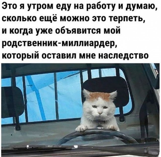 Картинки и мемы для настроения
