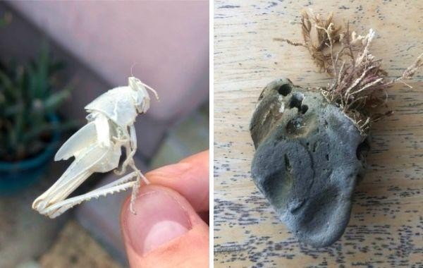 15 раз, когда люди нашли то, чего точно не ожидали, доказав, что просто нужно внимательнее смотреть