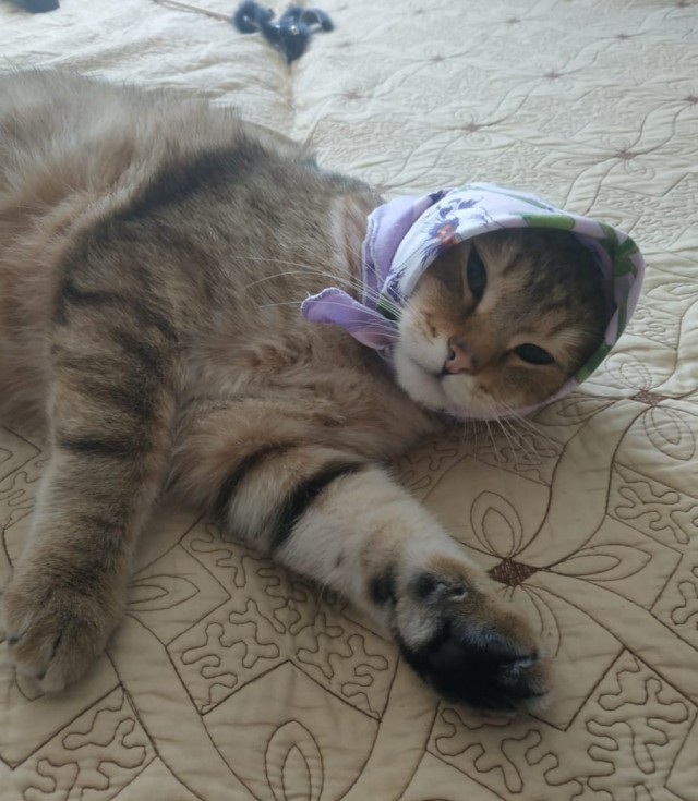 А что, уже вторник?