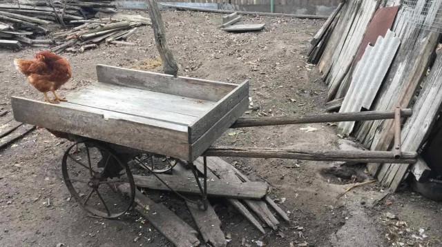 А какая была ваша первая тачка?