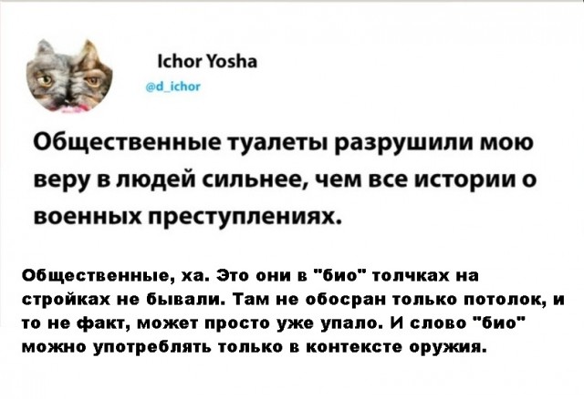 Весёлый полтишок 19.05.22