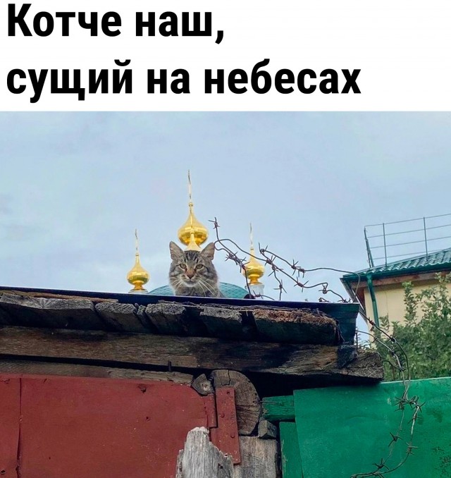 21 уникальный исторический снимок, который вас удивит
