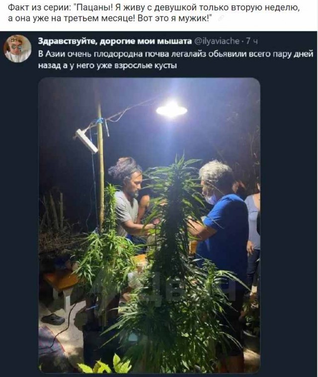 Среда пришла - неделя прошла, дорогие деграданты