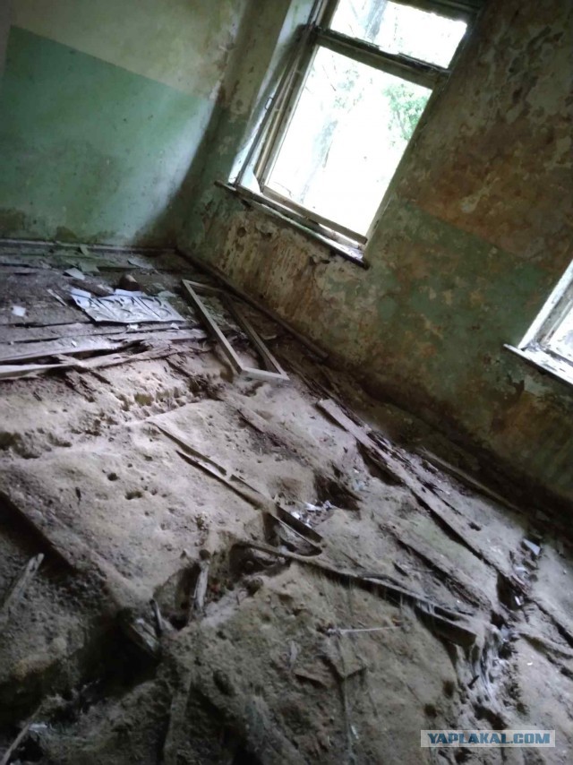 Зона отчуждения. Полесский радиационно-экологический заповедник. д.Погонное (Хойникский р-н, Гомельская обл)