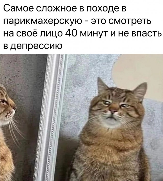 Скриншоты и комментарии из социальных сетей 24.09.22