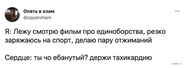 Весёлый полтишок  26.10.22