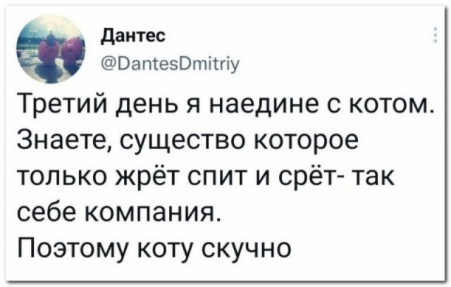 Забавные комментарии из социальных сетей (31.10.22)