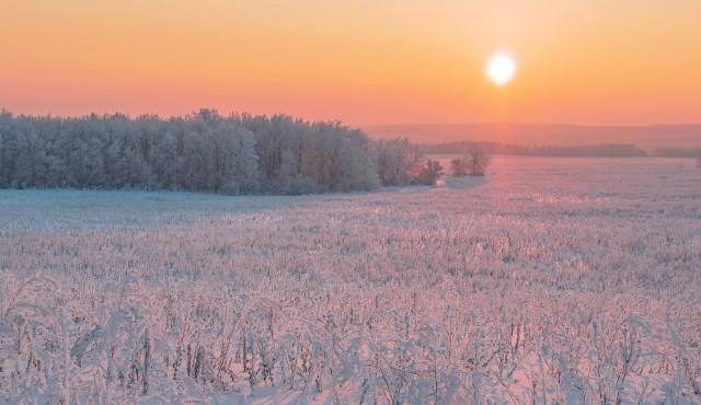 Снег и мороз в деревне