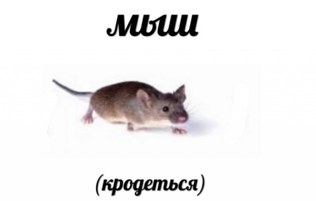 Короткие истории и случаи из жизни: 14.01.23