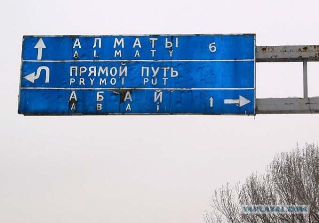 Приколы из Казахстана