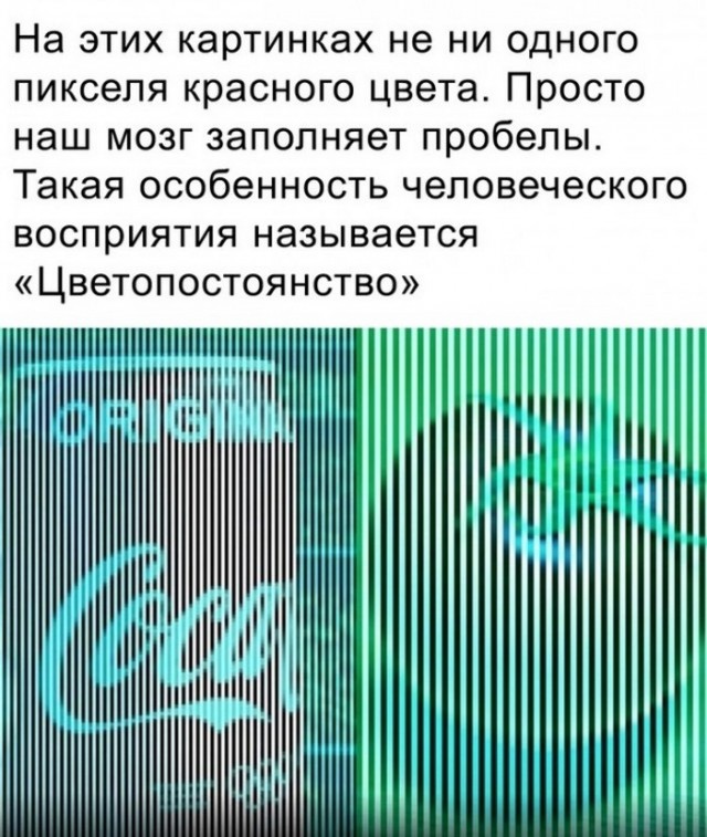 Так себе картинки 27.02.23