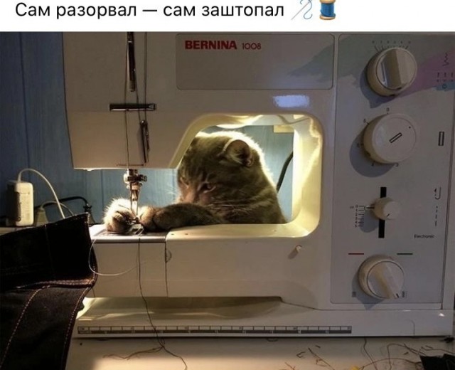Всем хороших выходных - картинки, мемы и т.п.