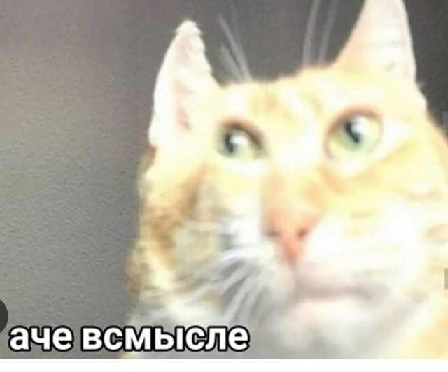 Настроение интернет-экспертов после мятежа Пригожина