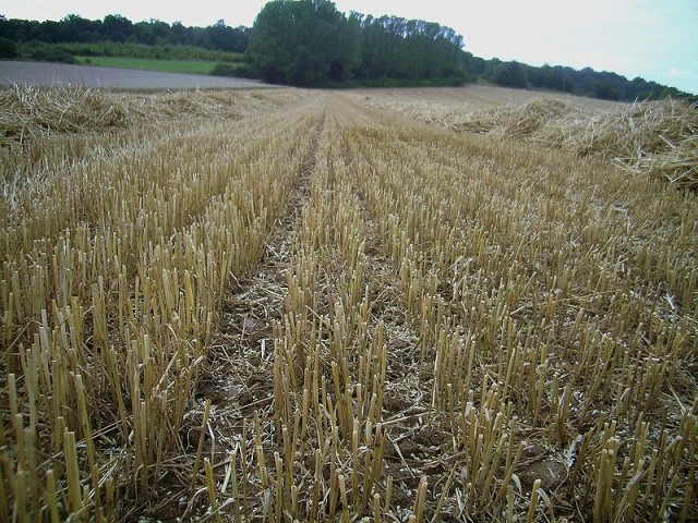 Чудо. Конкурс Коротких Креативов № 28.  На Старт!