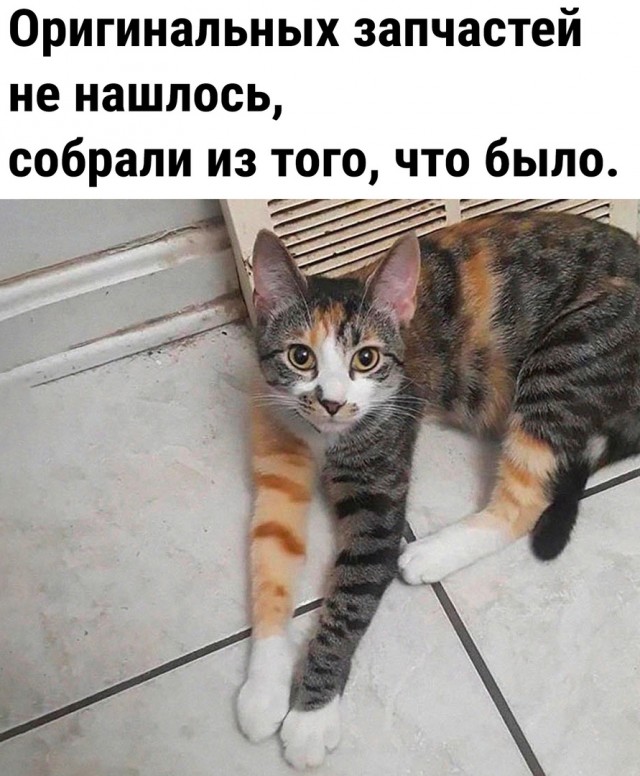 Так себе картинки 12.07.23