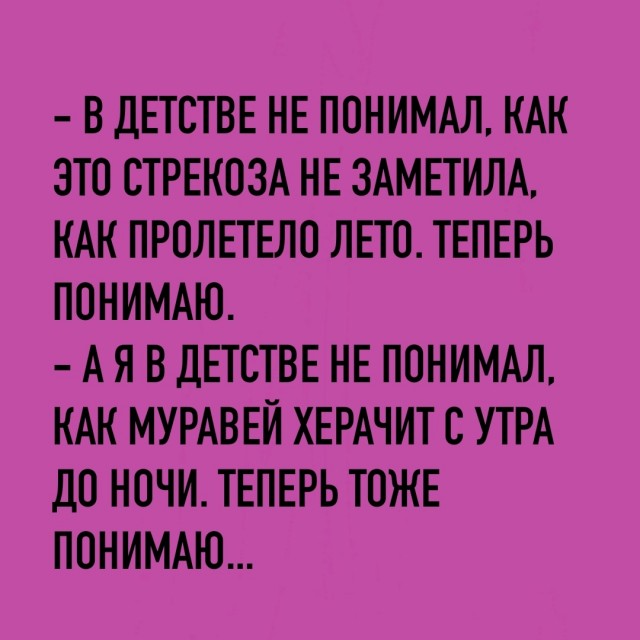 Так себе картинки 09.08.23