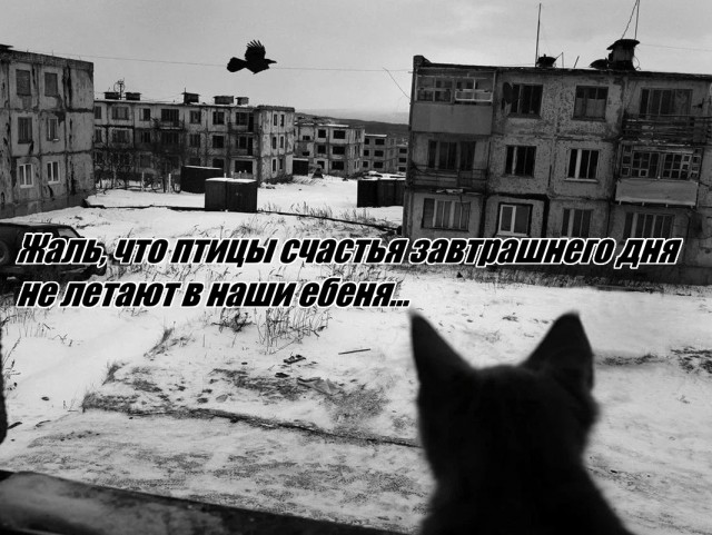 Ебеня, мне без вас жизни нет,...