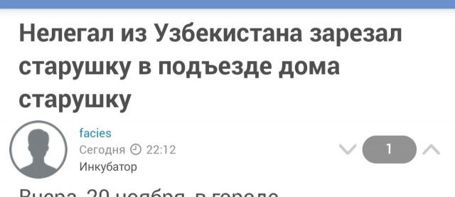 Нелегал из Узбекистана зарезал старушку в подъезде дома