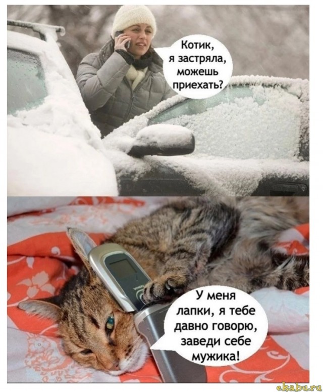 Всякая всячина