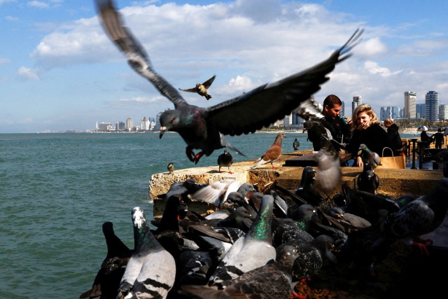 Подборка интересных и веселых картинок 12.02.24