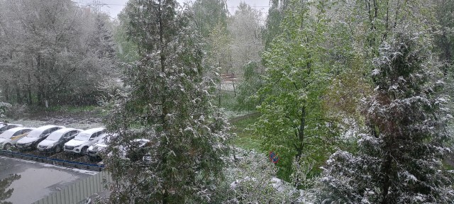Май, Снег, Москва