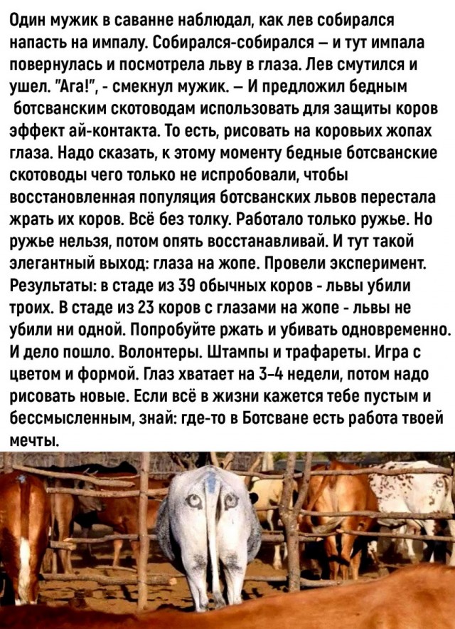 Отборные баяны 10-летней выдержки vol. 5