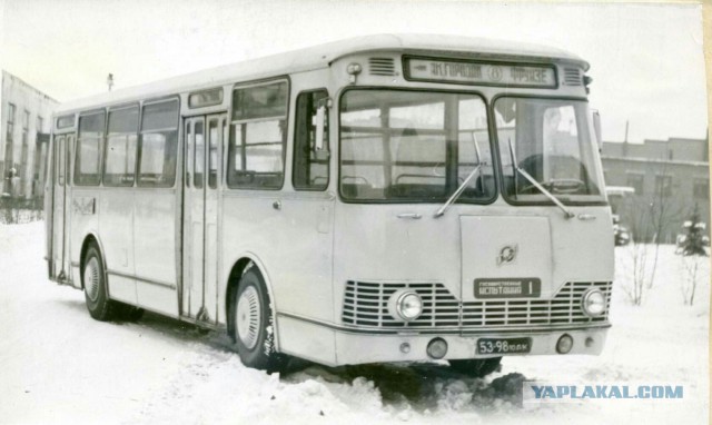 Фотографии из прошлого нашей страны – 84