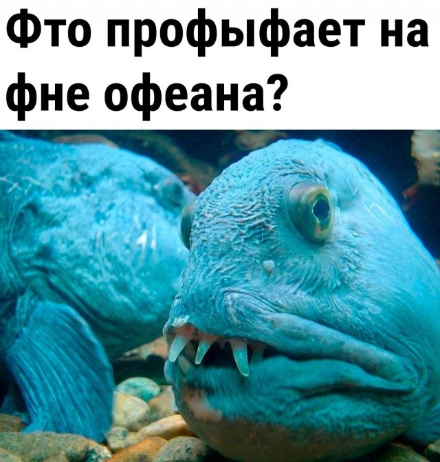 Так себе картинки 08.03.25
