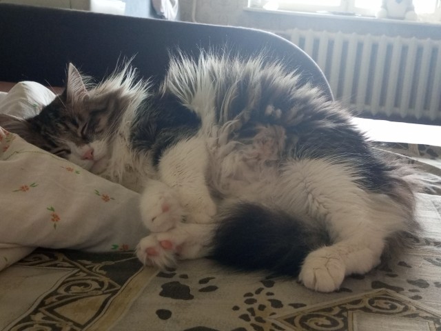 Его первый вторник