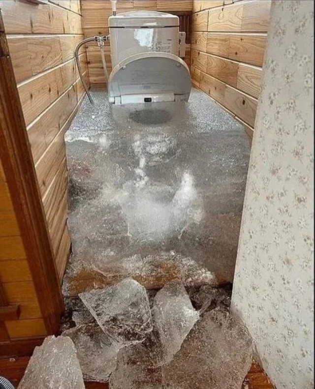 Вроде как зелень положена?