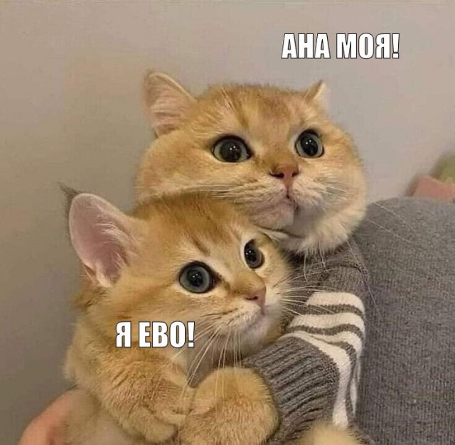 Помогите найти фотку))