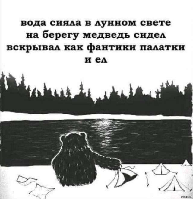 Засилье медведей в Подмосковье